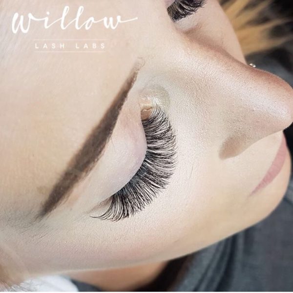 Gallery Willow Lash Labs