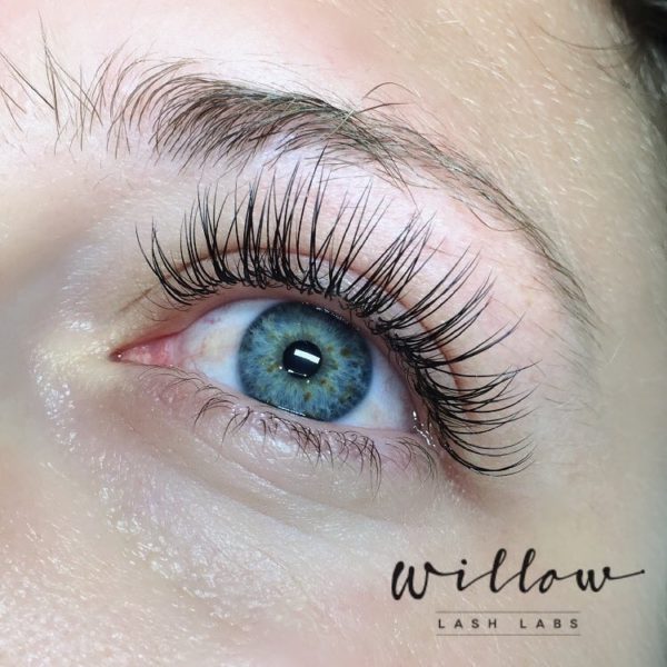 Gallery Willow Lash Labs