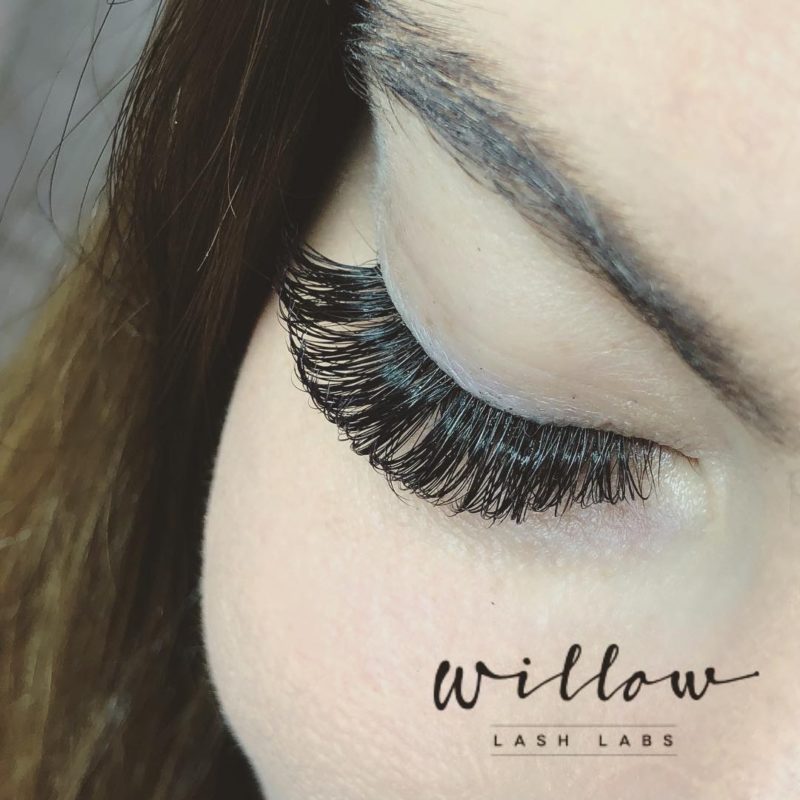 Gallery Willow Lash Labs