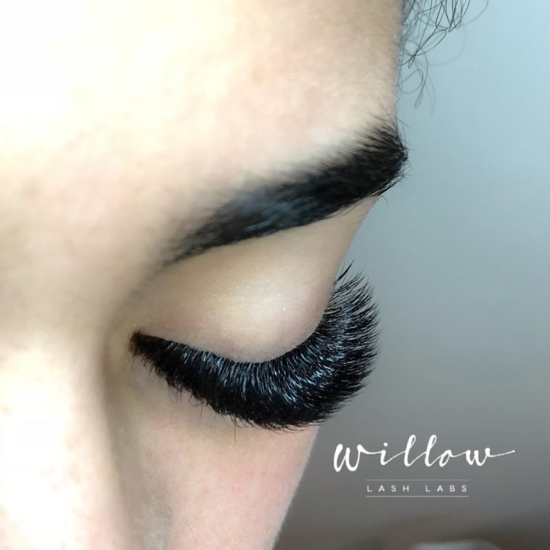 Gallery Willow Lash Labs