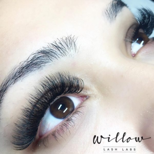 Gallery Willow Lash Labs